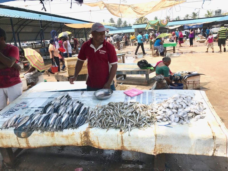 Fish Stall, Negombo