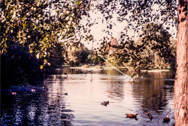 Hampstead Heath Pond