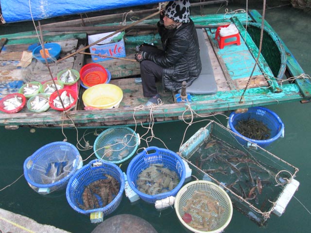 Floating Seafood Boat Halong Bay