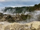 Rotorua: Steam