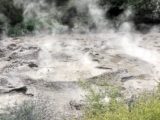 Rotorua: Mud pool