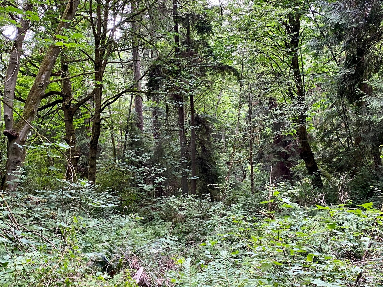 Schmitz Preserve