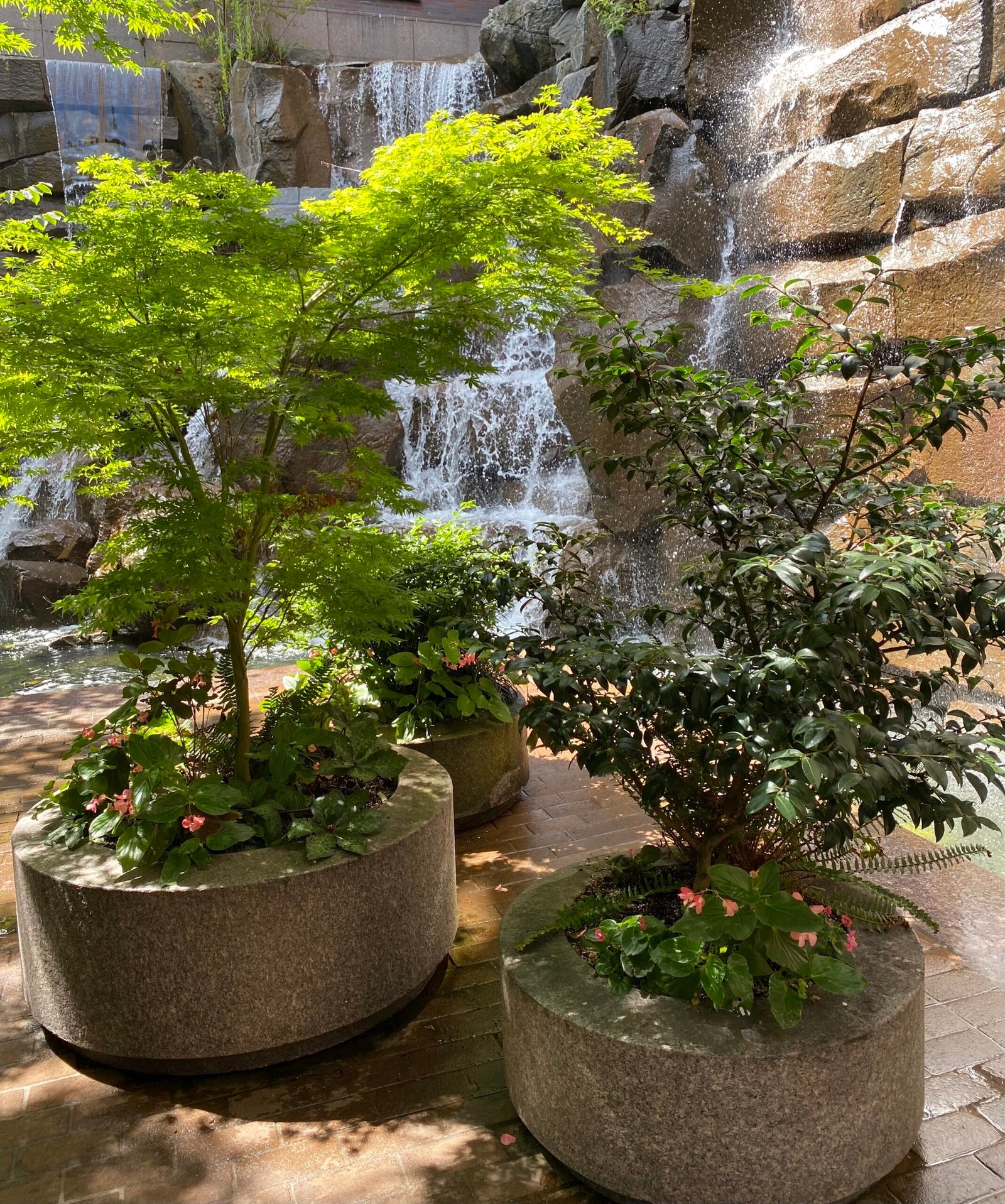 Urban Garden
