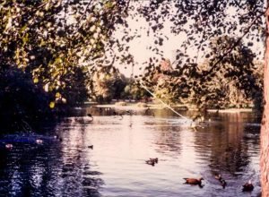 Hampstead Heath Pond