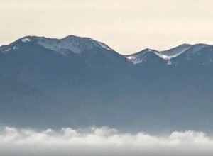 New Zealand 2019